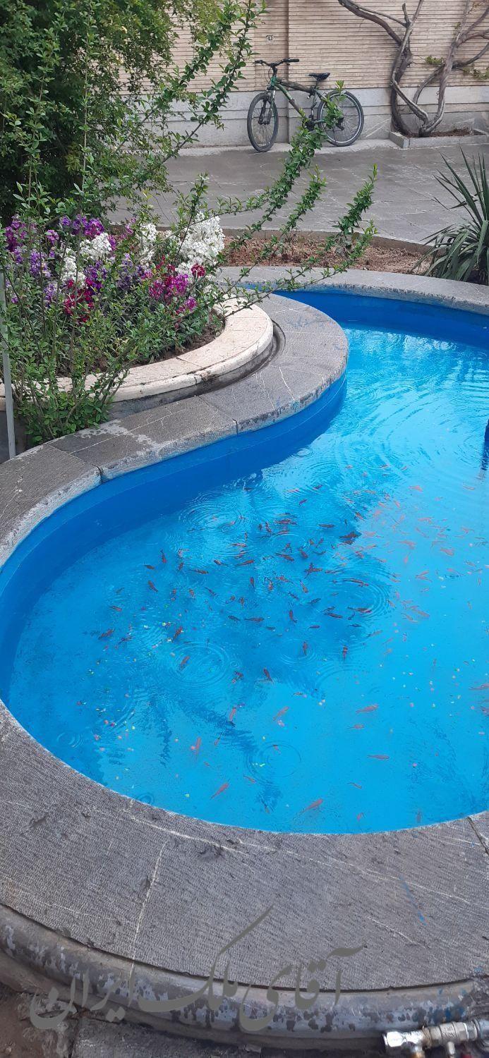 مجتمع خوابگاه پانسیون چهارباغ پسرانه آقایان مردانه