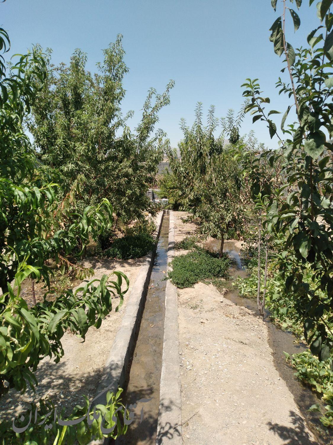 باغ مزرعه ولی عصر چمگردان