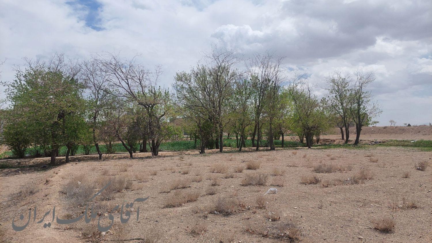 فروش زمین ۳۵۰ متری در زرین‌شهر