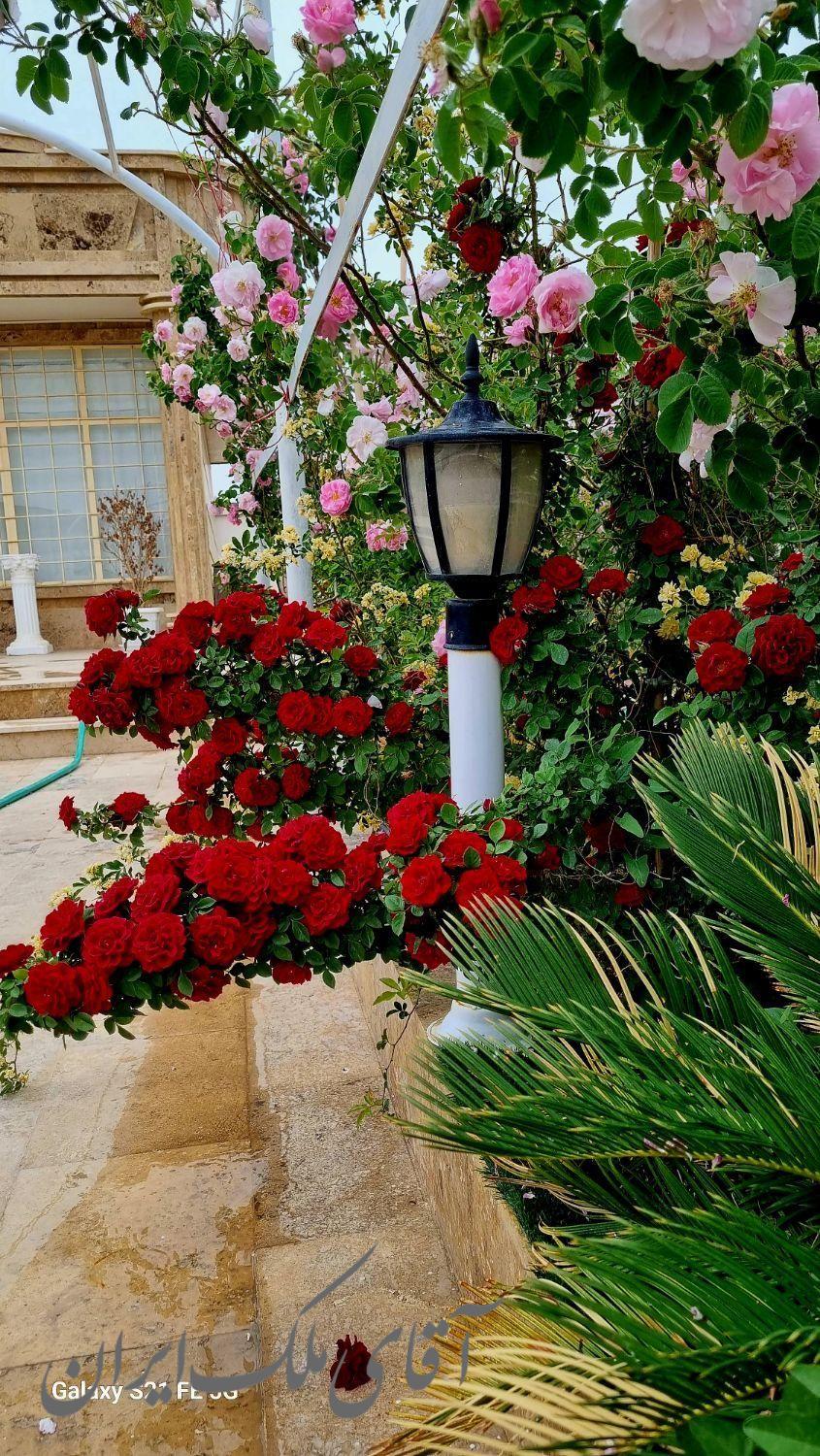 فروش یا معاوضه ویلا باغ حاجی اباد